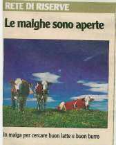 Alta quota