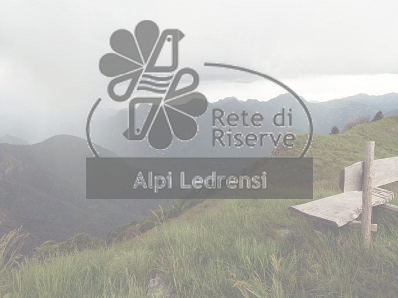 Cambiamenti nel paesaggio. Servizi ecosistemici e biodiversità: un caso di studio in Valle di Ledro (Trento)