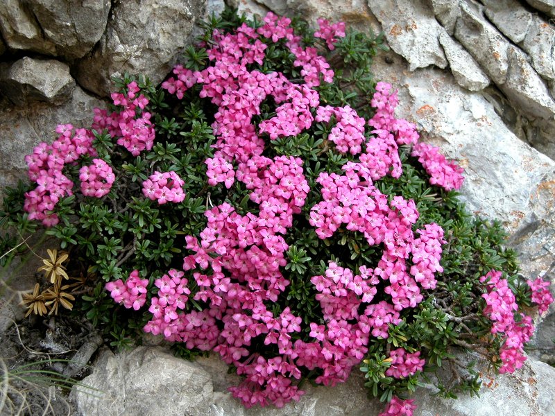Escursioni Natura