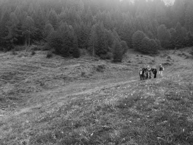 FormAzione in Rete