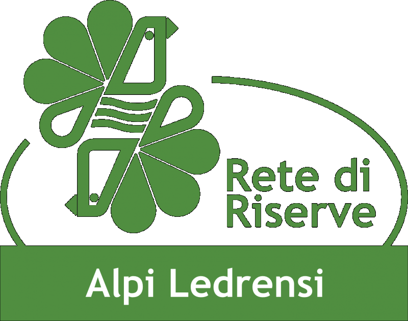 Identikit del turismo locale