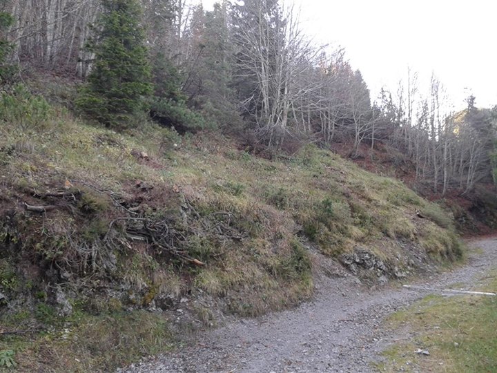 La zona della pulizia/taglio effettuata nel 2014 dall'Azienda La Contadina