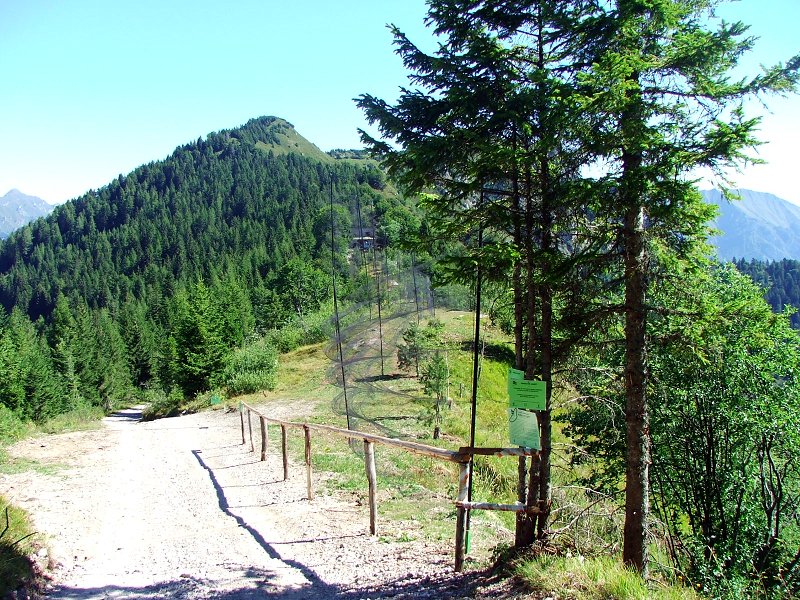 Bocca di Caset bird ringing station