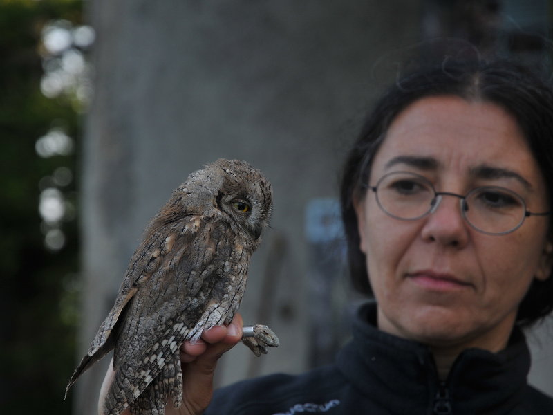 Ornithological Station of Bocca di Caset